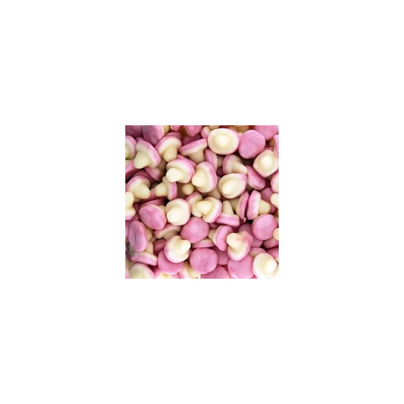 Champignons lisse dulceplus